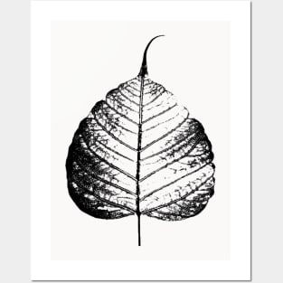 Bodhi Leaf Posters and Art